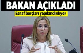 ruhsar-pekcan-esnaf-borc-mujde-a24haber