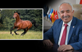 fadil-keskin-hatay-dortyol-belediye-baskani-ibb-kayip-at-istifa-a24haber