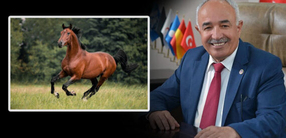 Hatay’da kaybolan İBB atları istifa getirdi