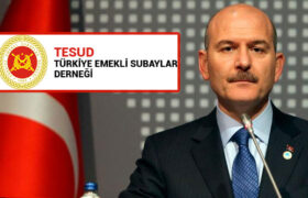 icisleri-bakanligi-tesud-gorevden-alindi-a24haber