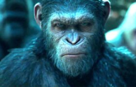 insan-maymun-embriyosu-uretildi-bilim-dunya-a24haber