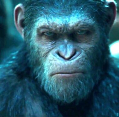 insan-maymun-embriyosu-uretildi-bilim-dunya-a24haber