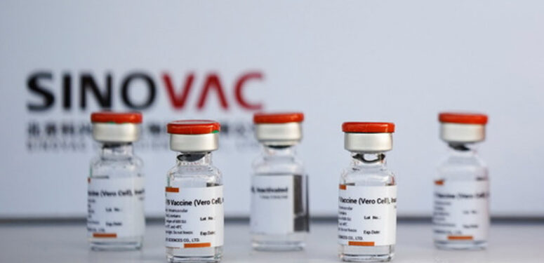 sili-sinovac-coronavac-koronavirus-asi-sonuclari-a24haber
