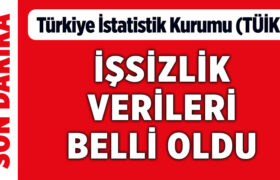 issizlik-verileri-belli-oldu-mart-tuik-s-a24haber