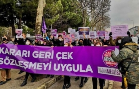 istanbul-sozlesmesi-kararinin-iptali-icin-danistaya-dava-a24haber