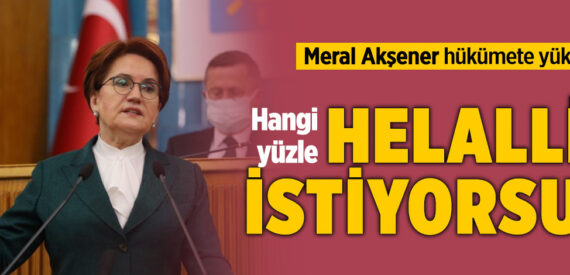 Meral Akşener: Hangi yüzle helallik istiyorsun?