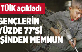tuik-genclerin-yuzde-77-si-isinden-memnun-a24haber