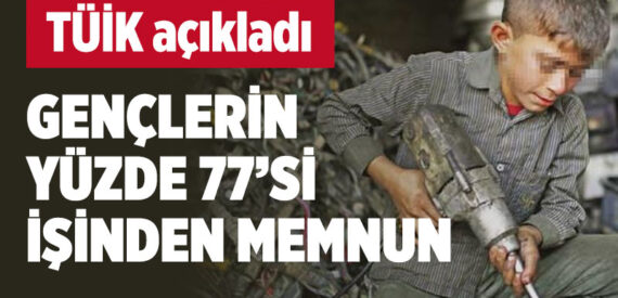 TÜİK: Gençlerin yüzde 77’si işinden, yüzde 48’i kazancından memnun