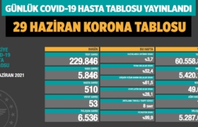 covid-19-koronavirüs-gunlük-vaka-tablosu-29-haziran-2021-a24haber