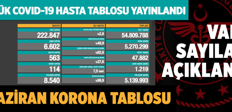 Son dakika… Günlük Covid-19 tablosu (3 Haziran 2021)