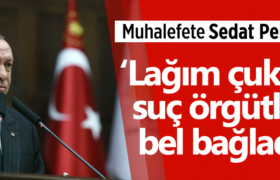 erdogan-sedat-peker-lagim-cukuru
