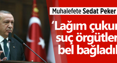 erdogan-sedat-peker-lagim-cukuru