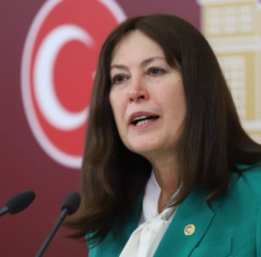 iyi-parti-senol-sunat-egitim-politikalarini-elestirdi-a24haber