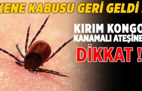 kirim-kongo-kanamali-atesi-kene-isirmasi-dikkat-a24haber