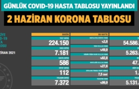 koronavirus-covid-19-gunluk-vaka-korona-tablosu-2-haziran-2021-s-a24haber
