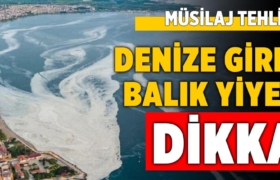 musilaj-tehlikesi-balik-yiyenler-denize-girenler-dikkat-manset-a24haber