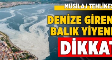 musilaj-tehlikesi-balik-yiyenler-denize-girenler-dikkat-manset-a24haber