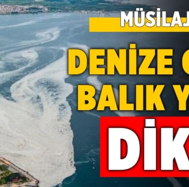 musilaj-tehlikesi-balik-yiyenler-denize-girenler-dikkat-manset-a24haber