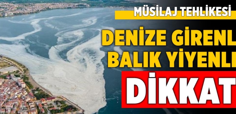 musilaj-tehlikesi-balik-yiyenler-denize-girenler-dikkat-manset-a24haber
