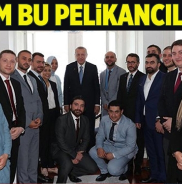 pelikancılar-kimdir-nedir-a24haber
