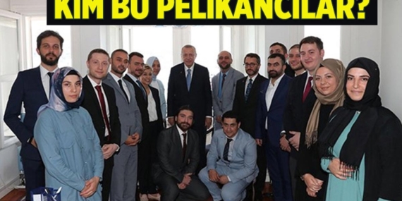 Pelikancılar kimdir, nedir?