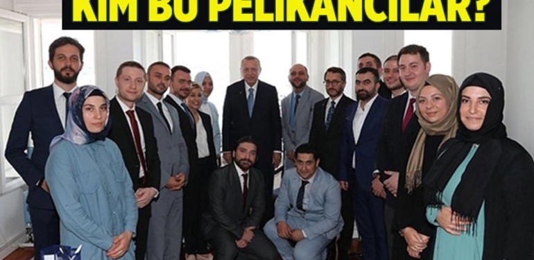 Pelikancılar kimdir, nedir?