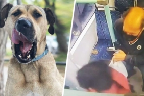 boji-ye-kumpas-kameralara-yakalandı-istanbul-a24haber