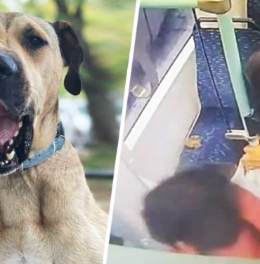 boji-ye-kumpas-kameralara-yakalandı-istanbul-a24haber