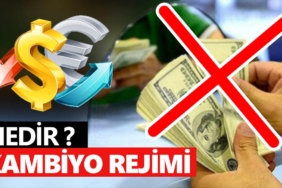 kambiyo-rejimi-nedir-kontrollü-kambiyo-rejimi-nedir-a24haber