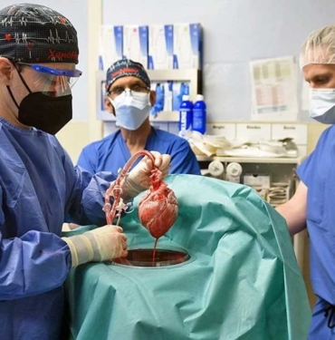 abd-de-david-bennett-isimli-kalp-hastasina-domuz-kalbi-nakledildi-2-a24haber