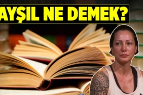 aysil-ne-demek-tdk-anlami