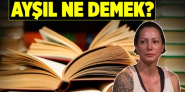 aysil-ne-demek-tdk-anlami