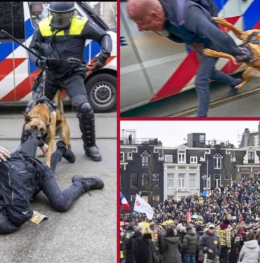 hollanda-polisi-covid-19-önlemlerini-protesto-eden-göstericilere-cop-ve-köpeklerle-müdahale-etti-a24haber