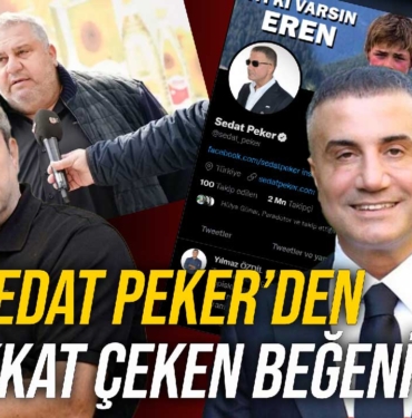 sedat-peker-halil-falyalı-yılmaz-özdil-tweet-beğeni-a24haber