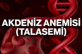 akdeniz-anemisi-talasemi-nedir-tedavi-yontemleri-nelerdir-a24haber
