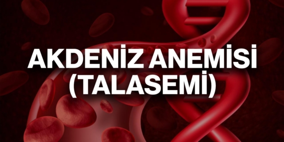 Akdeniz Anemisi (Talasemi) kimlerde görülür, tedavi yöntemleri nelerdir?