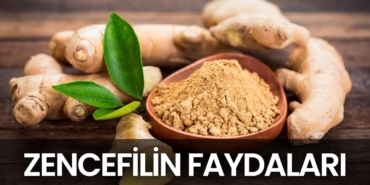 zencefilin-faydalari-nelerdir-a24haber
