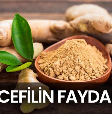 zencefilin-faydalari-nelerdir-a24haber