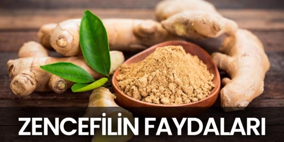 Zencefilin Faydaları Nelerdir?