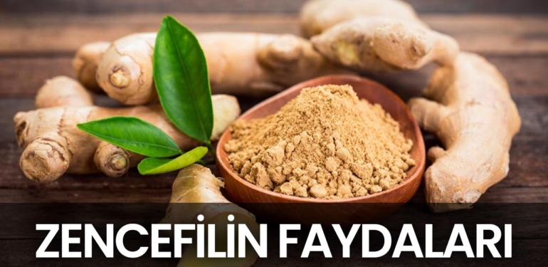 Zencefilin Faydaları Nelerdir?