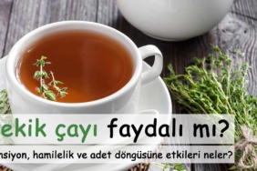 kekik-cayinin-faydalari-nelerdir-tansiyon-hamilelik-adet-dongusune-etkileri-nelerdir-a24haber