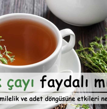 kekik-cayinin-faydalari-nelerdir-tansiyon-hamilelik-adet-dongusune-etkileri-nelerdir-a24haber