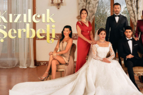 kızılcık şerbeti dizisi